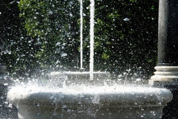 St. Petersburg - Peterhof (Lion Cascade) - 2019.06.05