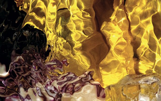 Brassica rubra et flavifolium